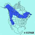American Three-toed Woodpecker range map