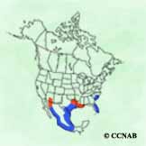 Black-bellied Whistling-Duck range map