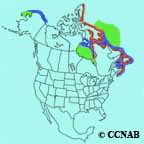 Black Guillemot range map