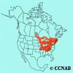 Brewster's Warbler range map