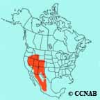 range map