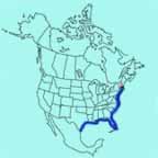 Clapper Rail range map