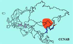 Eastern Spot-billed Duck range map