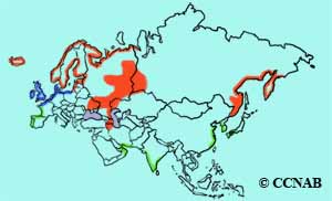 Eurasian Oystercatcher range map