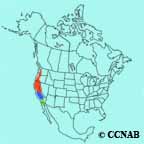 Fox Sparrow (thick-billed) range map