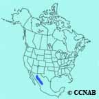 Imperial Woodpecker range map