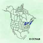 range map