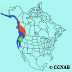 Pacific Wren range map