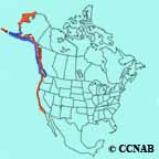Pigeon Guillemot range map