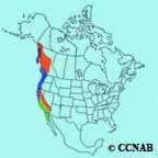 Red-breasted Sapsucker range map