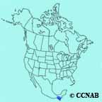 Rufous-collared Sparrow range map