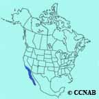 Savannah Sparrow (Belding's) range map