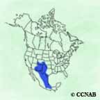 Scaled Quail range map
