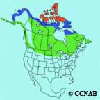 Snowy Owl range map