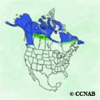 Willow Ptarmigan range map