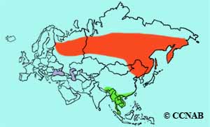 range map