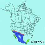 Zone-tailed Hawk range map
