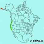 Aleutian Cackling Goose range map