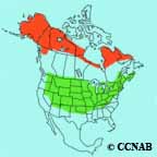 American Tree Sparrow range map