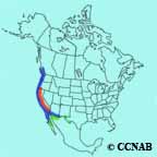 Anna's Hummingbird range map