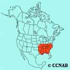 Bachman's Warbler range map