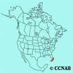 Bahama Mockingbird range map