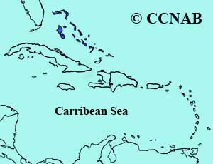 Bahama Swallow range map