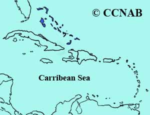 Bahama Woodstar range map