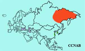 Baikal Teal range map