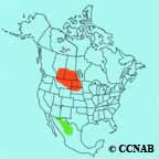 Baird's Sparrow range map