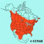 Barn Swallow range map