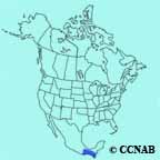 Barred Parakeet range map