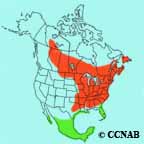 Black-and-white Warbler range map