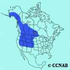 range map