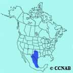 Black-crested Titmouse range map