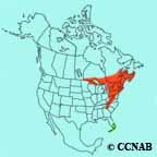 Black-throated Blue Warbler range map