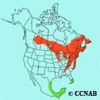 Black-throated Green Warbler range map