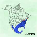 Black Vulture range map