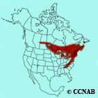 Blackburnian Warbler range map