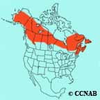 Blackpoll Warbler range map