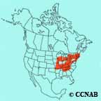 Blue-winged Warbler range map