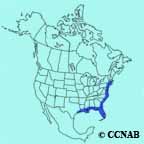 Boat-tailed Grackle range map