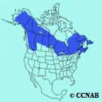 Boreal Chickadee range map