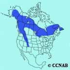 Boreal Owl range map