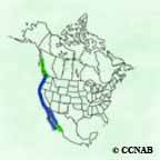 Brandt's Cormorant range map