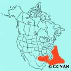 Bridled Tern range map