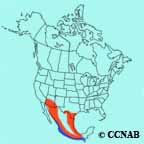 Brown-crested Flycatcher range map