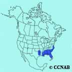 Brown-headed Nuthatch range map