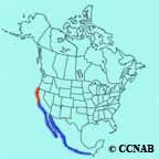 Brown Pelican (Pacific) range map
