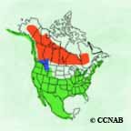 Bufflehead range map
